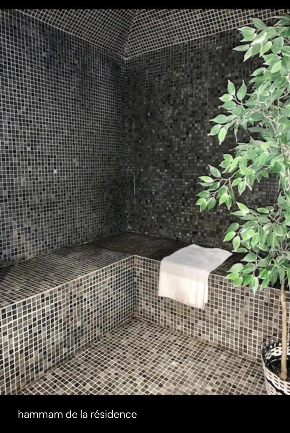 Appartements Avec Piscine Interieure Sauna Parking Etage 1 Au Centre Du Village Dans Residence Cami Real Saint-Lary-Soulan Zewnętrze zdjęcie